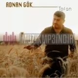 Adnan Gök