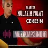 Aladede Mulazim Polat