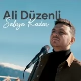 Ali Duzenli