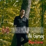 Ali Gürsoy