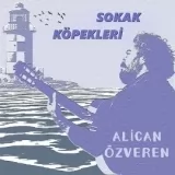 Alican Ozveren 