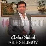 Arif Selimov