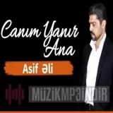 Asif Eli