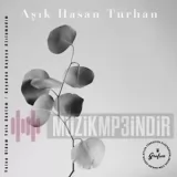 Ashik Hasan Turan