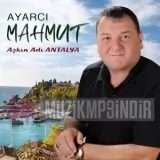 Ayarcı Mahmut