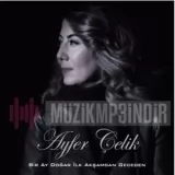 Ayfer Chelik