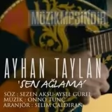 Ayhan Taylan