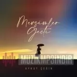 Aykut cegin