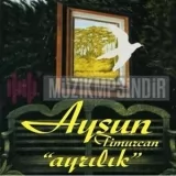 Aysun Timurcan