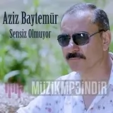 Aziz Baytemür