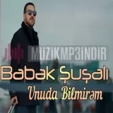 Babek Susali