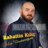 Bahattin Kılıç