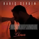 Barış Sevgen