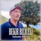 Bekir Biliceli