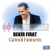 Bekir Firat