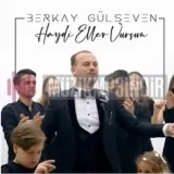 Berkay Gulseven