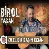 Birol Taşan