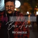 Bora Akın