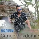 Caner Gokdemir