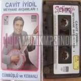 Cavit Iyidil