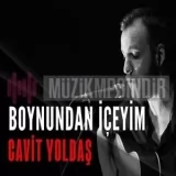 Cavit Yoldaş