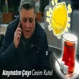 Cesim Kutal