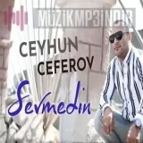 Cейхун Cеферов