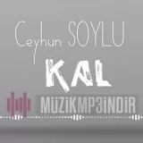 Ceyhun Soylu