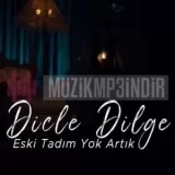 Dicle Dilge