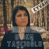 Didem Tashcioglu