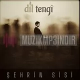 Dil Tengi