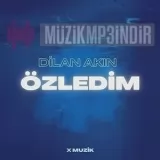 Dilan Akın