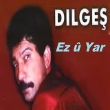 Dilgeş