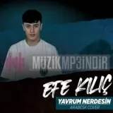 Efe Kilic