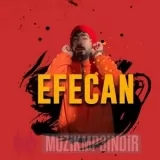 Efecan