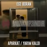 Ege Boran