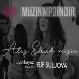 Elif Suluova