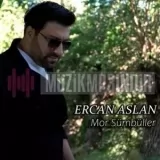 Ercan Aslan