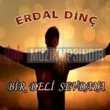 Erdal Dinc