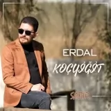 Erdal Kocyigit