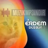 Erdem Düzgün