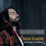 Ergin Togacar