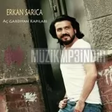 Erkan Sarica