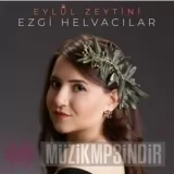 Ezgi Helvacilar