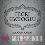 Fecri Ebcioglu