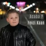 Fevzi Kaan