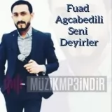 Fuad Agcabedili