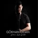 Gokhan Odan