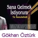 Gokhan Ozturk