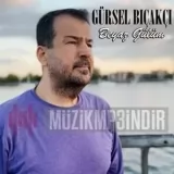 Gürsel Bıçakcı